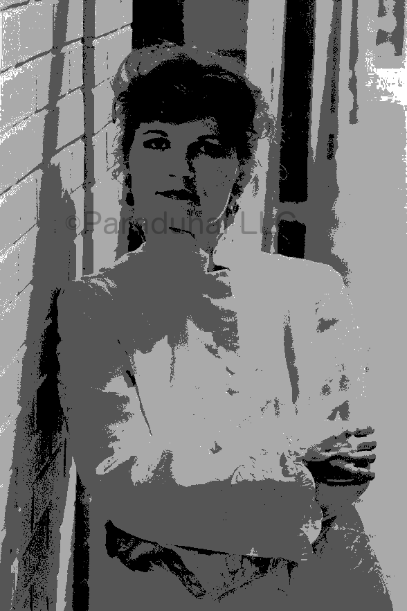 Sherese Chrétien Model Brocade